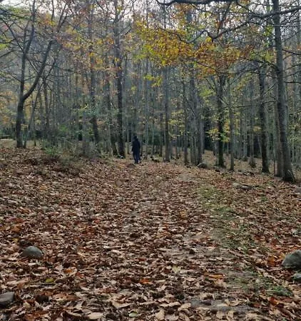Casa Cipampini Séjour à la campagne Petralia Soprana